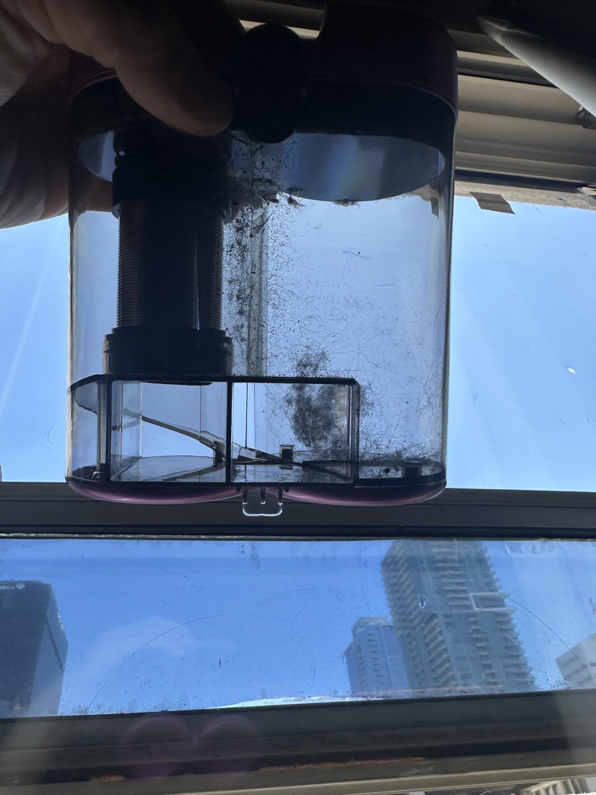 Pulled out what my vacuum missed