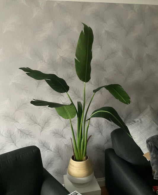 THE POSITIVES OF AN ARTIFICIAL BIRD OF PARADISE