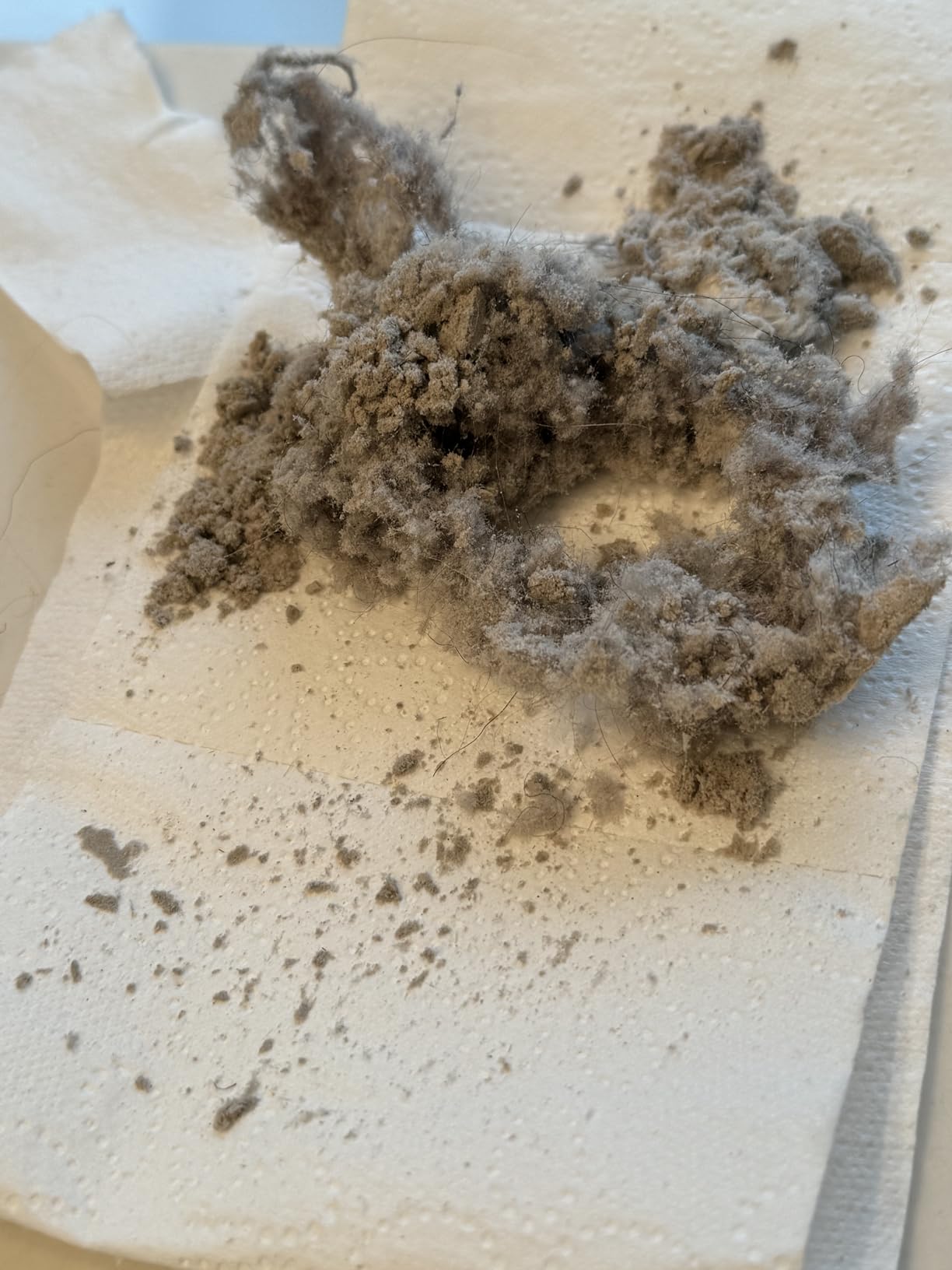 My son's allergy symptoms improved